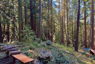 Residential Lot,  Rust court, Jenner, CA 95450 - 30