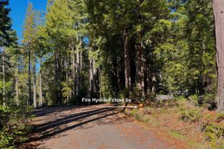 Residential Lot,  Rust court, Jenner, CA 95450 - 13