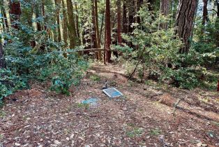 Residential Lot,  Rust court, Jenner, CA 95450 - 33