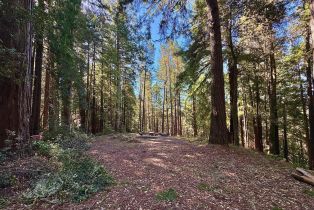 Residential Lot,  Rust court, Jenner, CA 95450 - 10