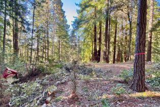 Residential Lot,  Rust court, Jenner, CA 95450 - 20