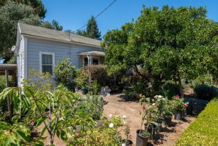 Single Family Residence, 733 University street, Healdsburg, CA 95448 - 4