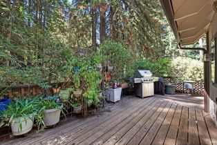 Single Family Residence,  Canyon 2 road, Russian River, CA 95446 - 18