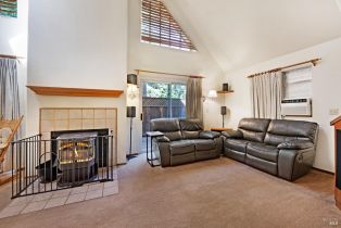 Single Family Residence,  Canyon 2 road, Russian River, CA 95446 - 8