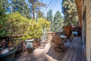 Single Family Residence,  Canyon 2 road, Russian River, CA 95446 - 19