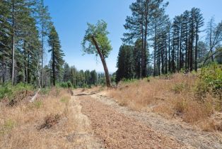 Single Family Residence,  Mount Veeder road, Napa, CA 94558 - 49