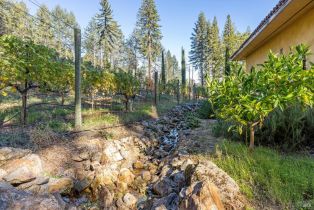 Single Family Residence,  Mount Veeder road, Napa, CA 94558 - 6