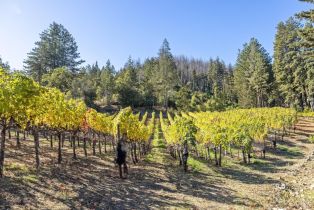 Single Family Residence,  Mount Veeder road, Napa, CA 94558 - 4