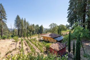 Single Family Residence,  Mount Veeder road, Napa, CA 94558 - 7