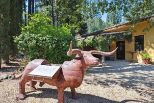 Single Family Residence,  Mount Veeder road, Napa, CA 94558 - 42