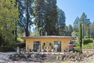 Single Family Residence,  Mount Veeder road, Napa, CA 94558 - 10