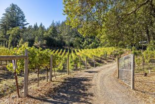 Single Family Residence,  Mount Veeder road, Napa, CA 94558 - 5