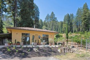 Single Family Residence,  Mount Veeder road, Napa, CA 94558 - 45