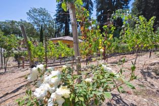 Single Family Residence,  Mount Veeder road, Napa, CA 94558 - 8