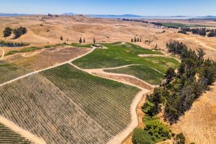 Single Family Residence,  Lakeville highway, Petaluma, CA 94954 - 43