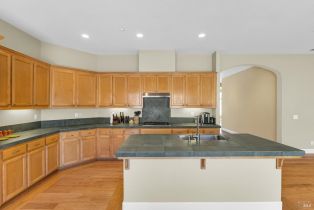 Single Family Residence,  Ferrero drive, Healdsburg, CA 95448 - 28