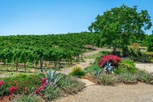 Single Family Residence,  Bayview avenue, Napa, CA 94559 - 38