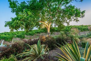 Single Family Residence,  Bayview avenue, Napa, CA 94559 - 47