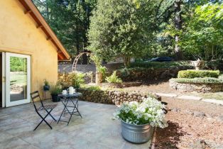 Single Family Residence,  Lake County highway, Calistoga, CA 94515 - 45