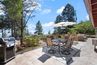 Single Family Residence,  Lake County highway, Calistoga, CA 94515 - 19