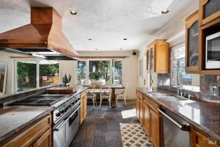 Single Family Residence,  Lake County highway, Calistoga, CA 94515 - 33