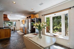 Single Family Residence,  Lake County highway, Calistoga, CA 94515 - 36