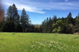 Single Family Residence,  Lake County highway, Calistoga, CA 94515 - 53