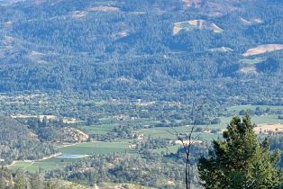 Single Family Residence,  Lake County highway, Calistoga, CA 94515 - 51