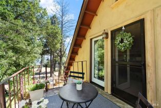 Single Family Residence,  Lake County highway, Calistoga, CA 94515 - 37