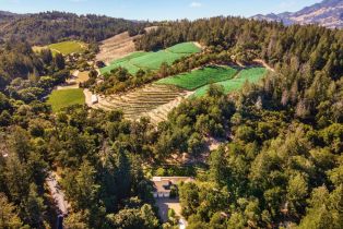 Single Family Residence,  Diamond Mountain road, Calistoga, CA 94515 - 55