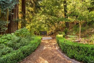 Single Family Residence,  Diamond Mountain road, Calistoga, CA 94515 - 43