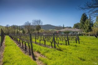 Single Family Residence,  Lawndale road, Kenwood, CA 95452 - 39