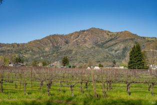 Single Family Residence,  Lawndale road, Kenwood, CA 95452 - 40