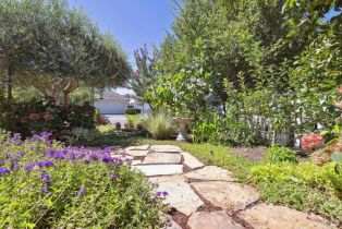 Single Family Residence,  Cooper street, Sonoma, CA 95476 - 9