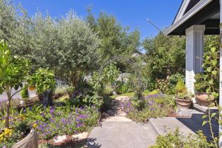 Single Family Residence,  Cooper street, Sonoma, CA 95476 - 59