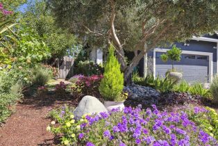 Single Family Residence,  Cooper street, Sonoma, CA 95476 - 58