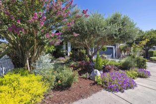 Single Family Residence,  Cooper street, Sonoma, CA 95476 - 7