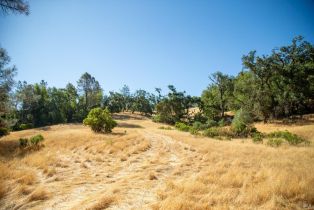 Agriculture,  River road, Cloverdale, CA 95425 - 21