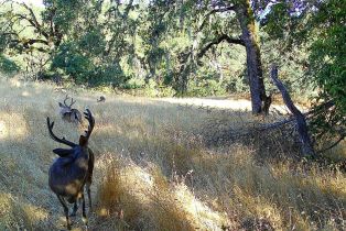 Agriculture,  River road, Cloverdale, CA 95425 - 30