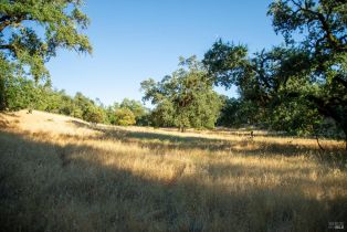 Agriculture,  River road, Cloverdale, CA 95425 - 20