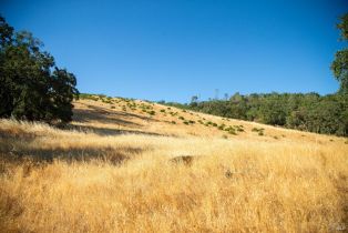 Agriculture,  River road, Cloverdale, CA 95425 - 14