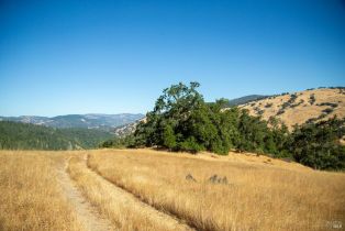 Agriculture,  River road, Cloverdale, CA 95425 - 15