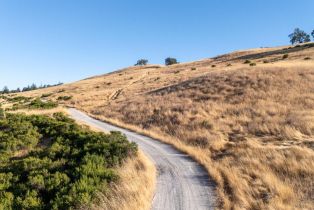 Agriculture,  River road, Cloverdale, CA 95425 - 23