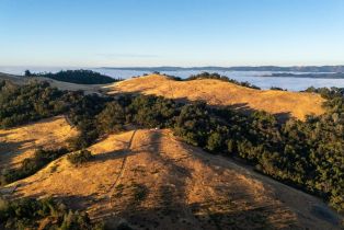 Agriculture,  River road, Cloverdale, CA 95425 - 5