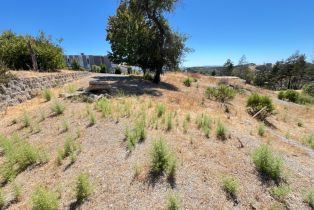 Residential Lot,  Orbetello court, Santa Rosa, CA 95404 - 6