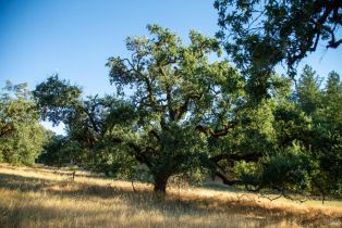 Single Family Residence,  River road, Cloverdale, CA 95425 - 14