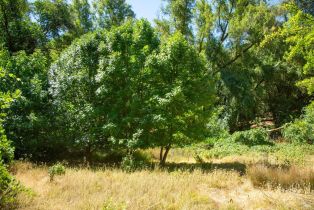 Single Family Residence,  River road, Cloverdale, CA 95425 - 16