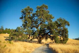 Single Family Residence,  River road, Cloverdale, CA 95425 - 7