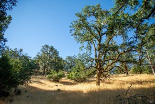 Single Family Residence,  River road, Cloverdale, CA 95425 - 24