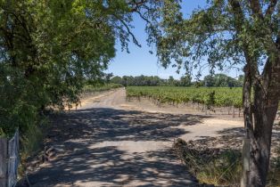 Agriculture,  River road, Windsor, CA 95492 - 3